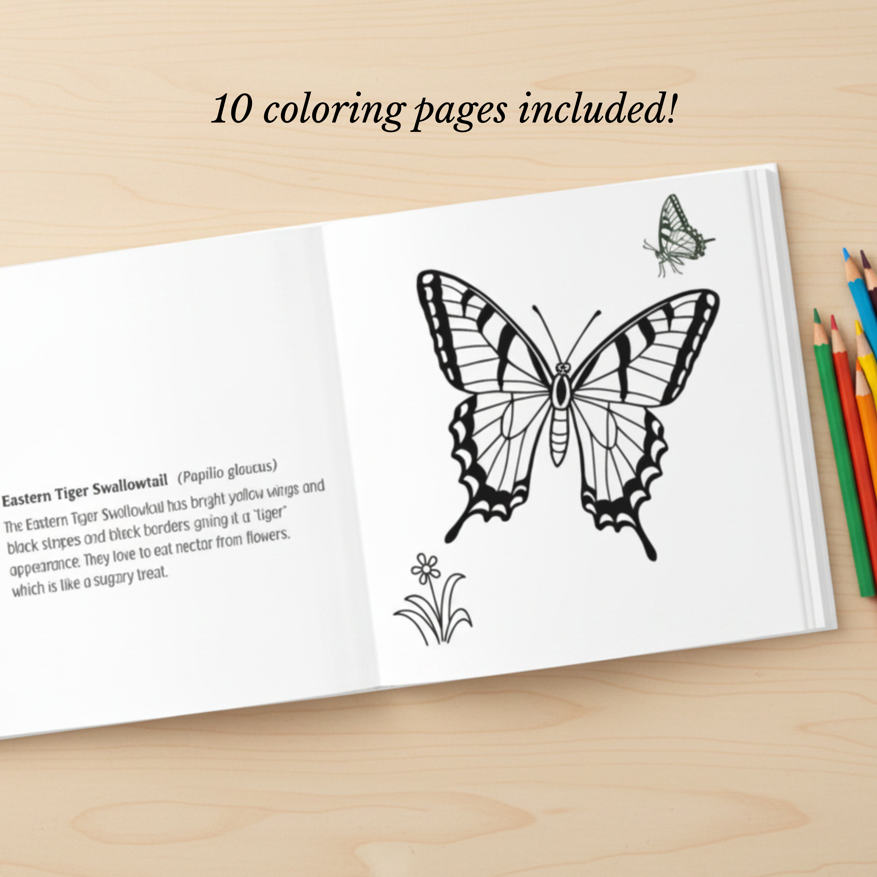 Butterfly Book for Kids Ages 3-7