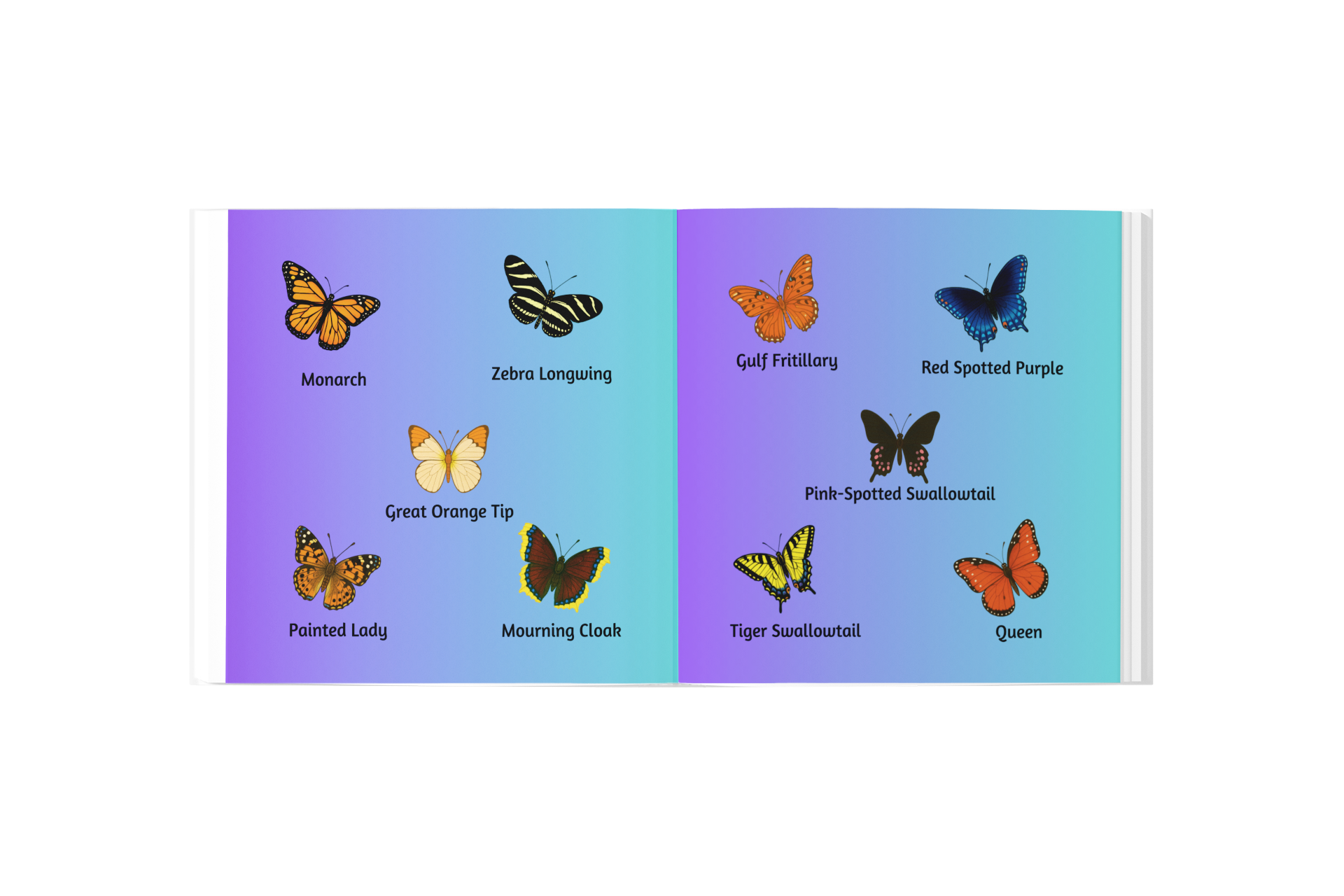 an open book depicting 10 different colorful butterflies each labeled with their names below them.