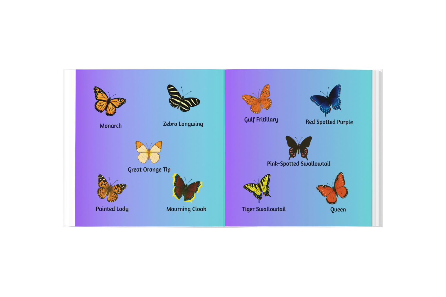 How to Catch a Butterfly