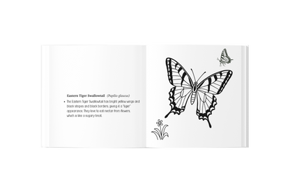 How to Catch a Butterfly