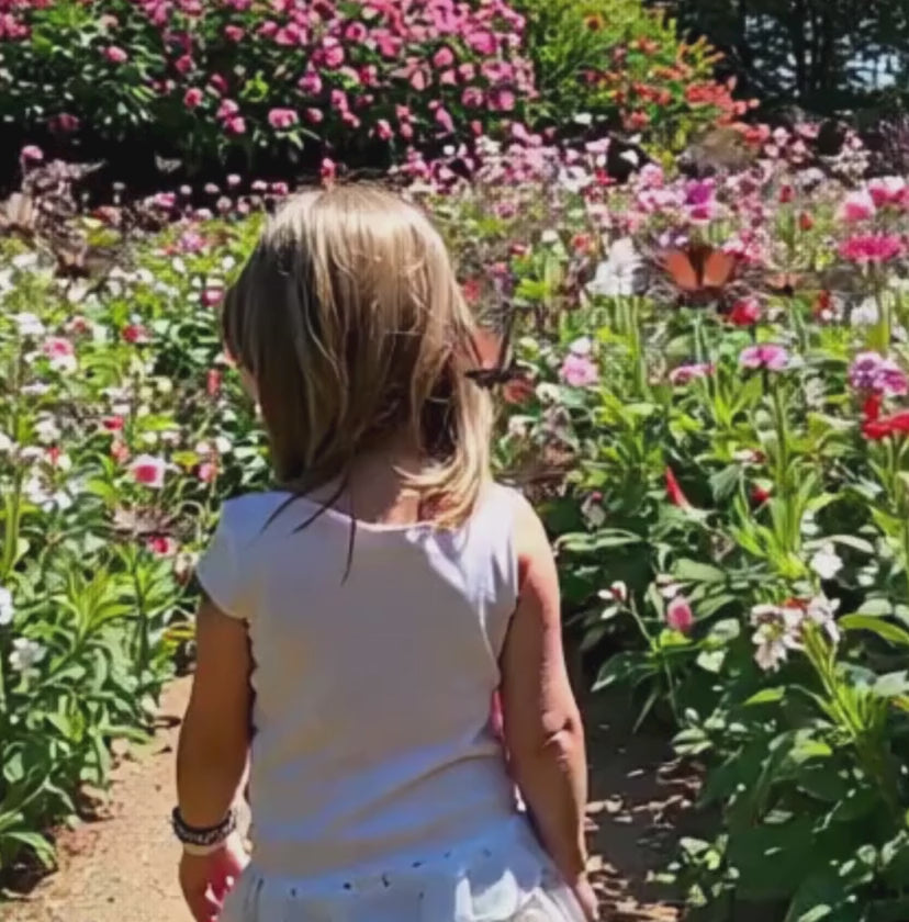 a video clip of the back view of a young girl walking through a floral garden that has butterflies fluttering around.