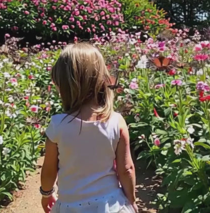 a video clip of the back view of a young girl walking through a floral garden that has butterflies fluttering around.
